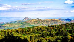 Mago National Park
