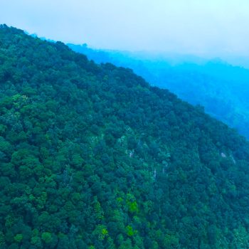 DJI_0110.00_46_54_03.Still094 (2)