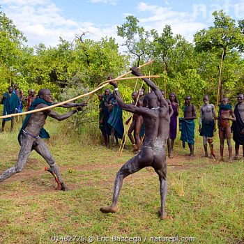 'Donga' stick fighters, Suri / Surma tribe. The Donga fights are an outlet to resolve conflicts between tribes. Omo river Valley, Ethiopia